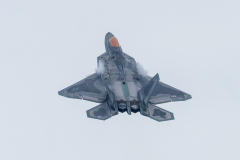 Raptor