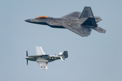 Raptor and Mustang