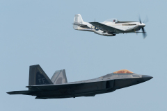 Raptor and Mustang
